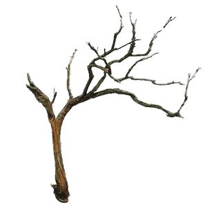 新品枯树模型天然装饰干树枝植被古树盆景仿真树适用地台沙盘场景