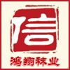 彩虹美丽1977
