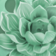 chenliming0122