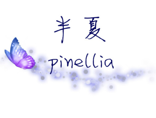 神的杀戮游戏