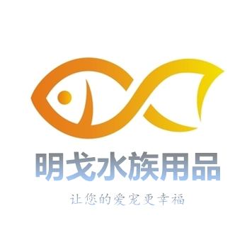 250739907chensiming