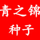 青花瓷花卉园艺
