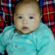 wen11038