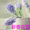 轩香花艺