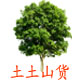 时空荡荡