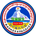 冠军的爱