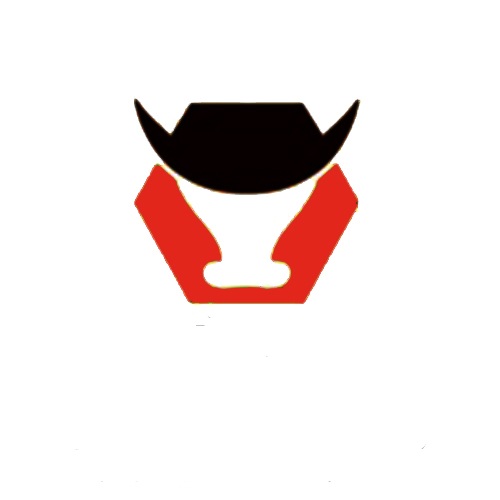 jazzyangdong