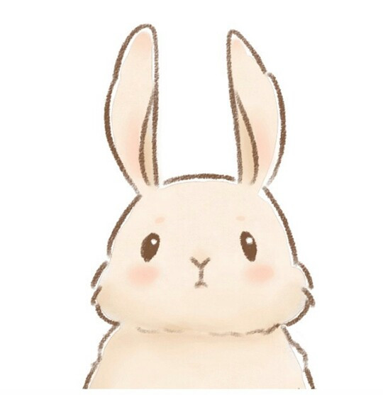 月球兔