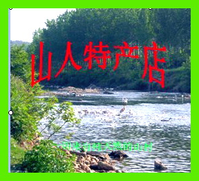 山人综合绿色特产店