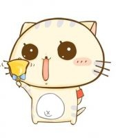 生命之旅95