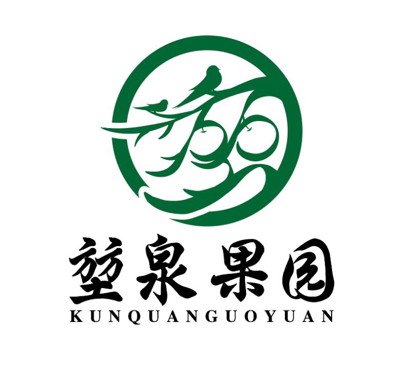 田素伟521