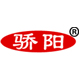 骄阳汽车用品旗舰店