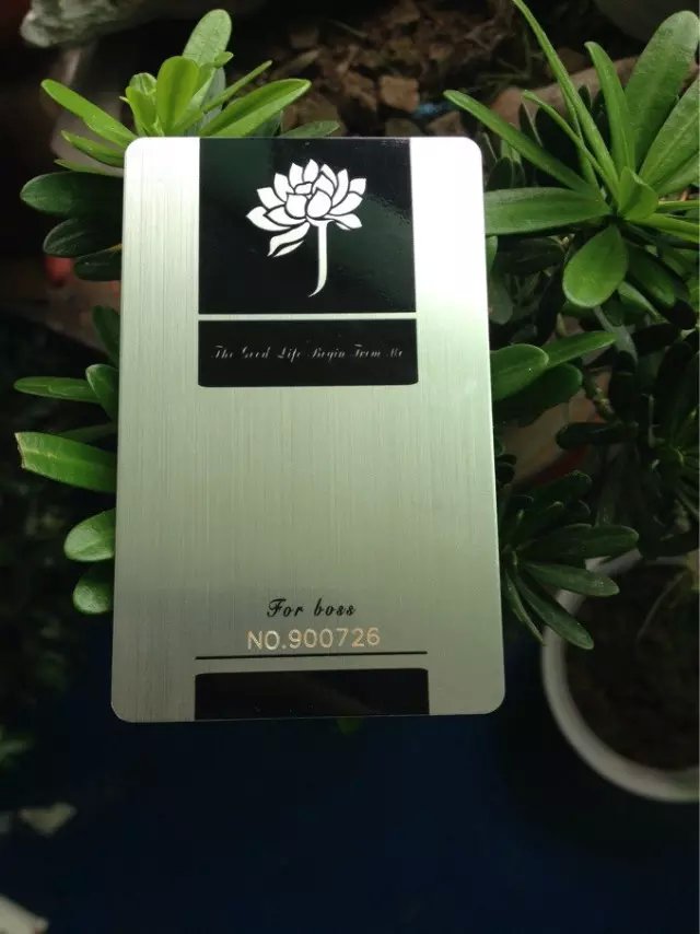 zhuhonghong8888