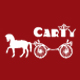 carty旗舰店