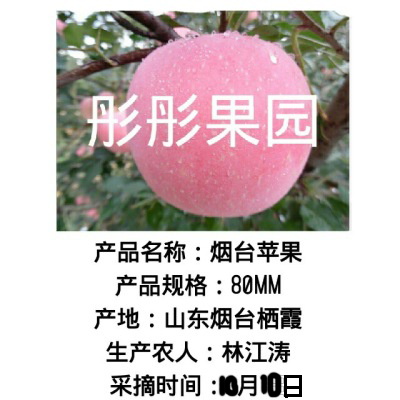 彤彤abc22