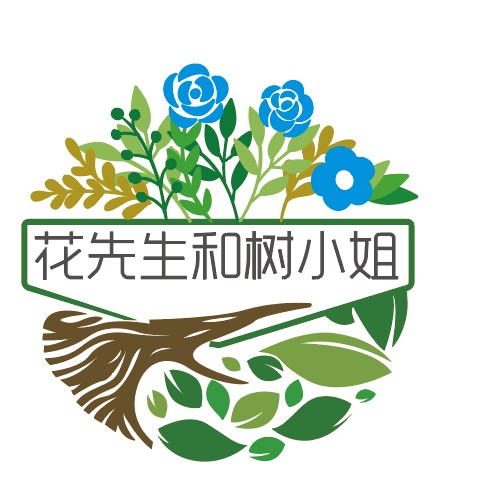 陈抖动