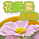 冰雅灵