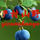 朱小枫8