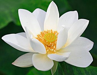 xue小伙