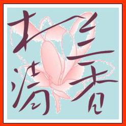 曹心洋