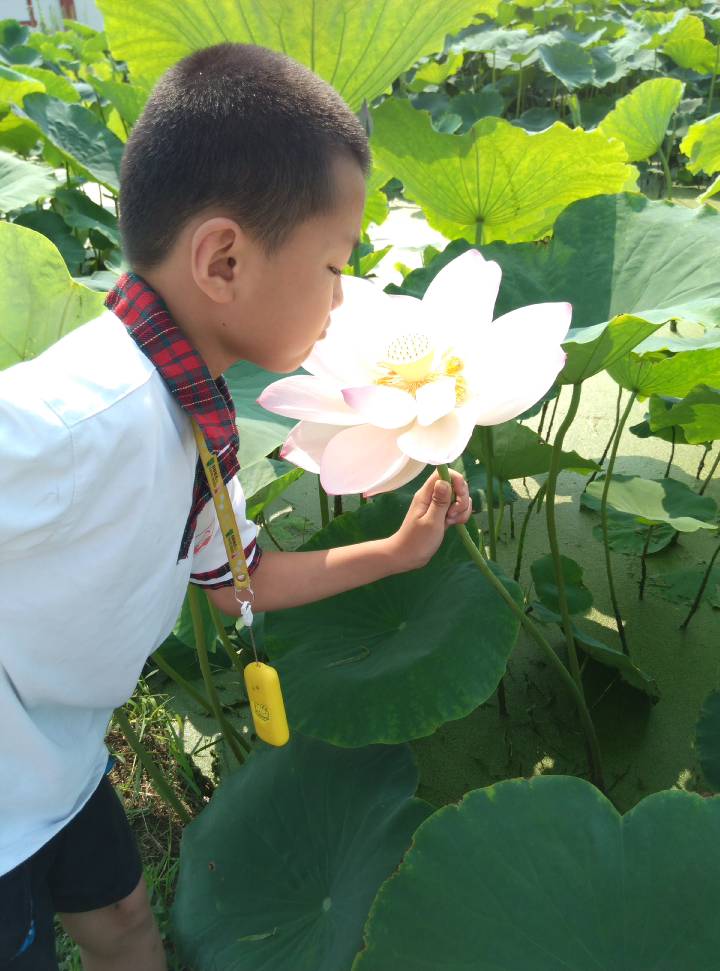 淘淘多多我淘