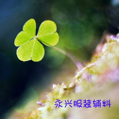 刘婷liuting55