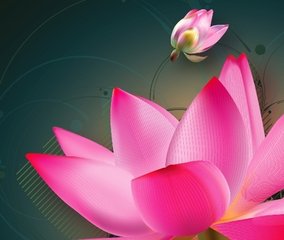 福满家家好