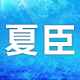 夏臣旗舰店