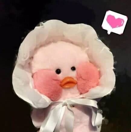 梅宝张家界