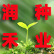 zhongjinlei