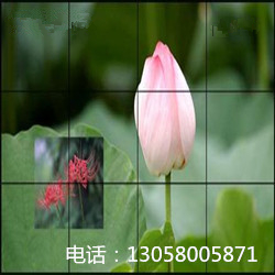 涂海涛99