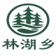 林湖乡旗舰店