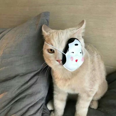格物丶静心