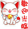 军华2008007