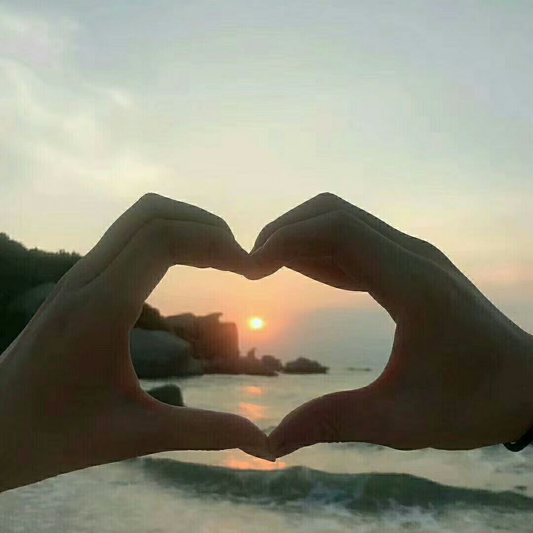 袁红淘