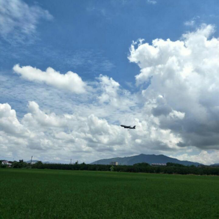 绿光者车饰