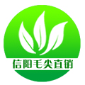 信阳光山茶农