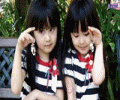 ddnia