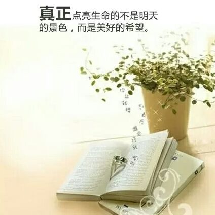 优美时尚小礼物