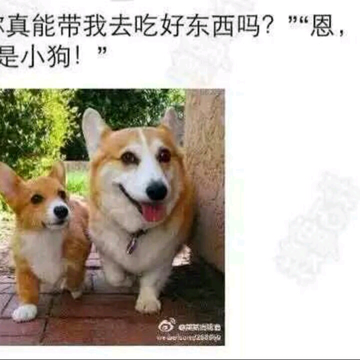 一个破名起半天啊