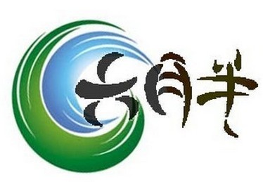 六月半电子商务