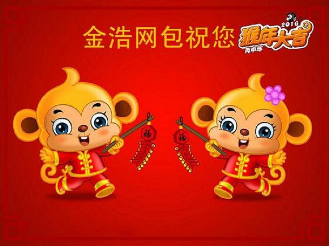金浩网包