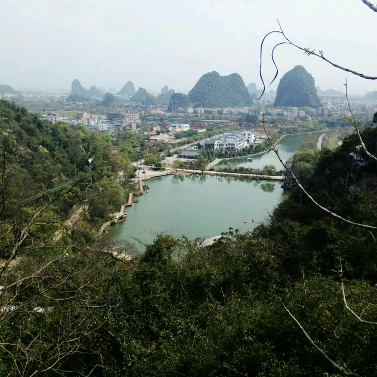 金色的秋天558888