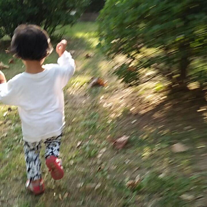 落雨清风100