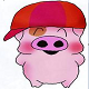 mylittlepig2007