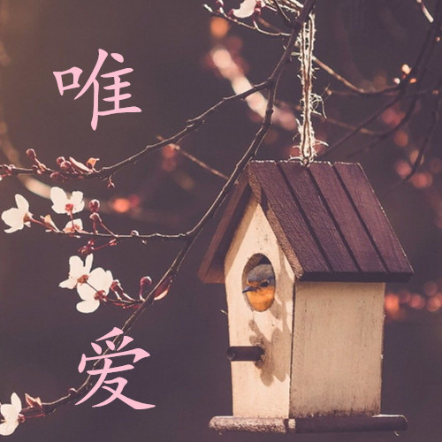 唯爱一生莉1