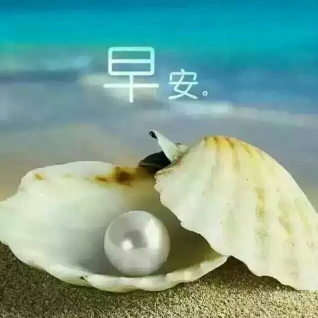 碧湖冷月123