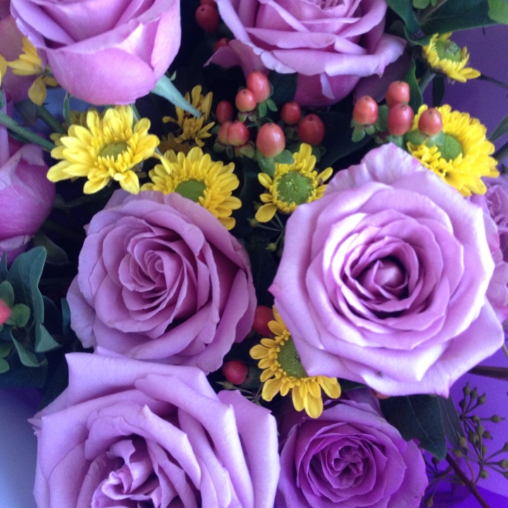 板栗板栗快点跑