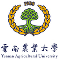木桦99