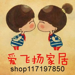 爱飞扬9291